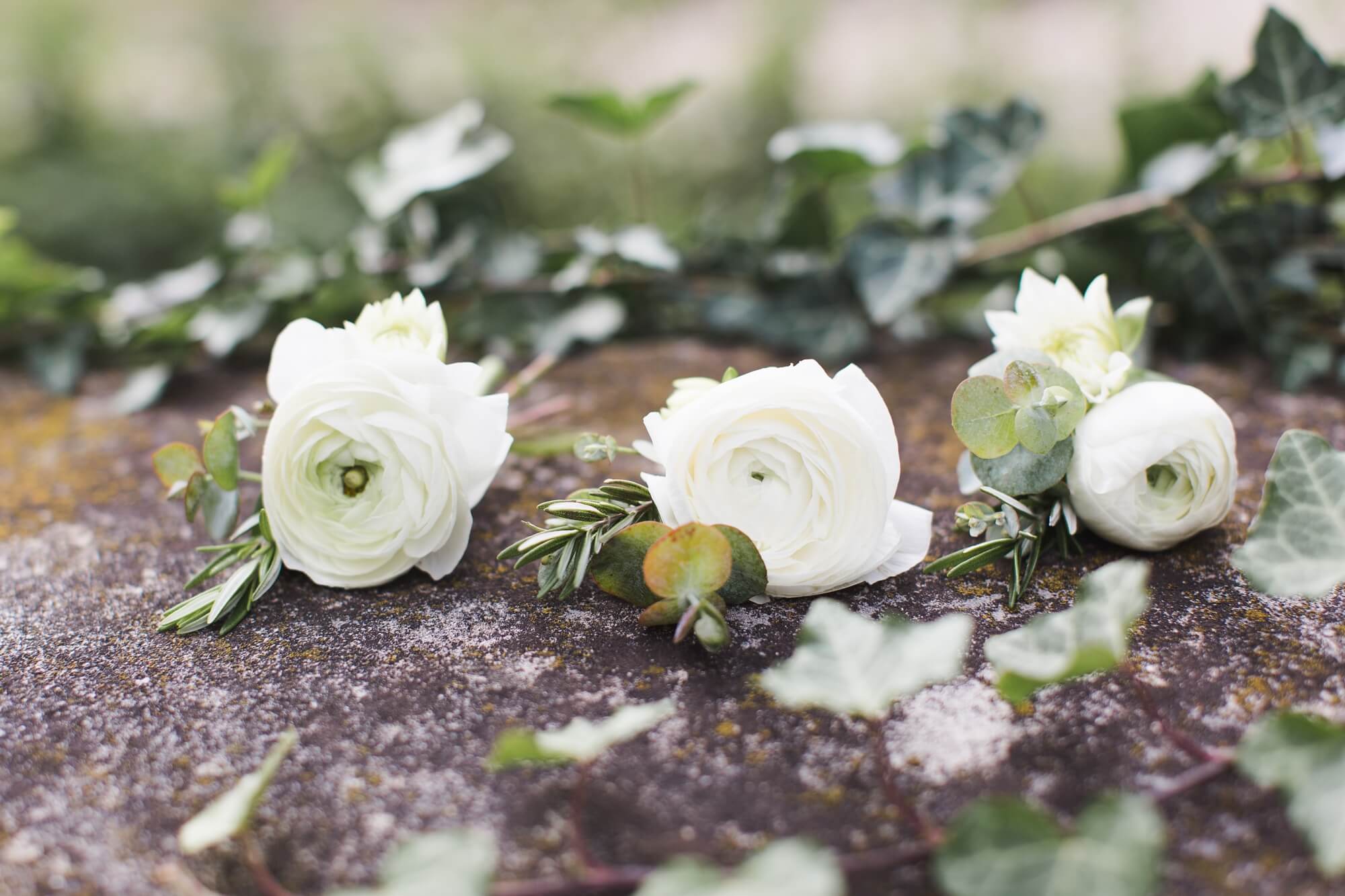 Eolia Harkness Park Wedding_0225