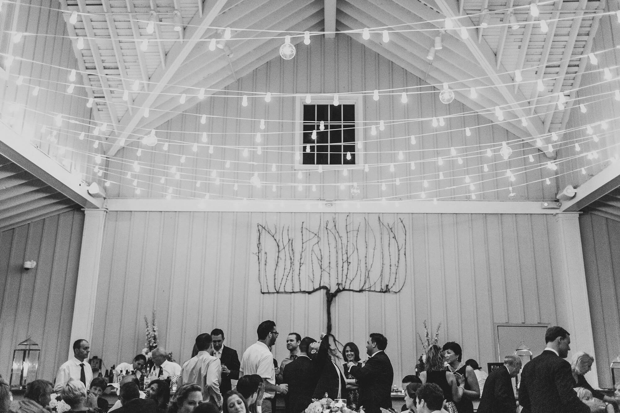 North Fork Vineyard Wedding_1982